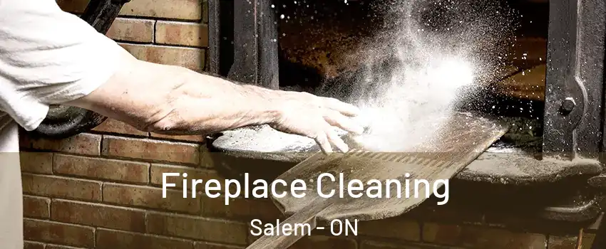  Fireplace Cleaning Salem - ON
