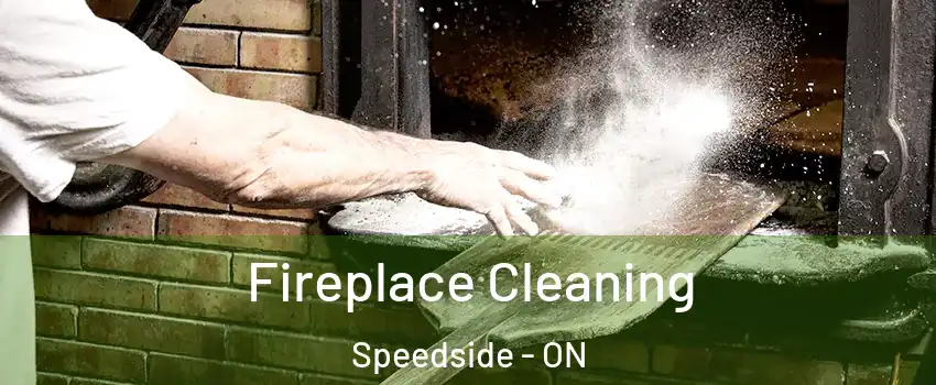  Fireplace Cleaning Speedside - ON