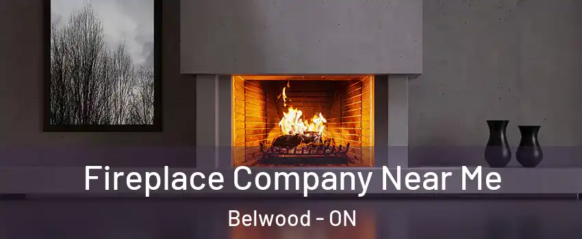  Fireplace Company Near Me Belwood - ON