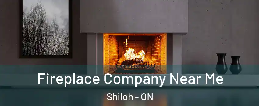 Fireplace Company Near Me Shiloh - ON