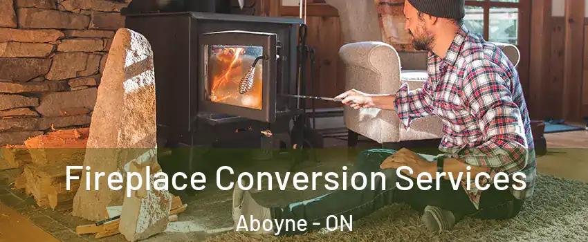  Fireplace Conversion Services Aboyne - ON