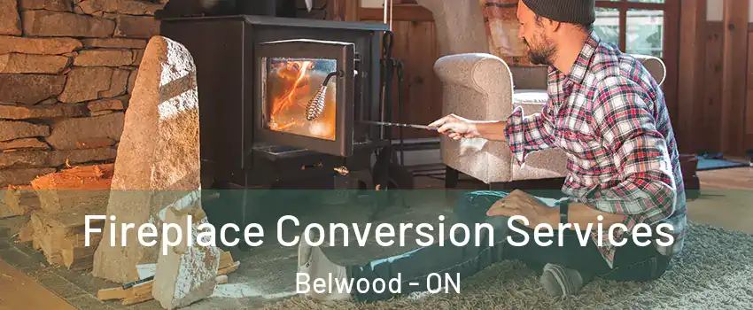 Fireplace Conversion Services Belwood - ON