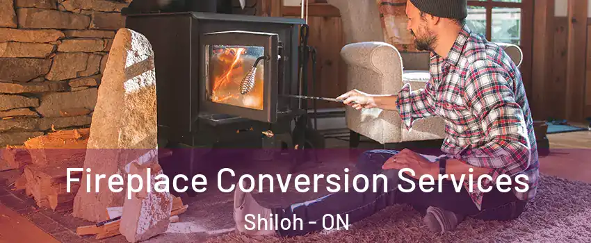  Fireplace Conversion Services Shiloh - ON