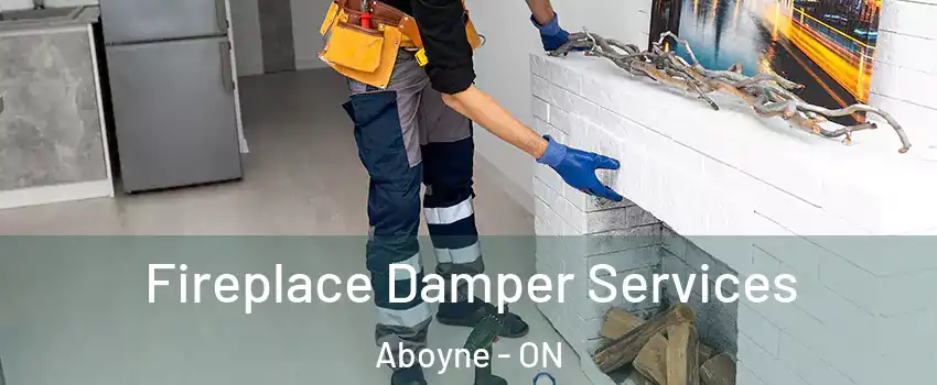  Fireplace Damper Services Aboyne - ON