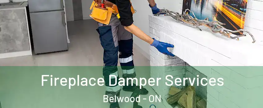 Fireplace Damper Services Belwood - ON