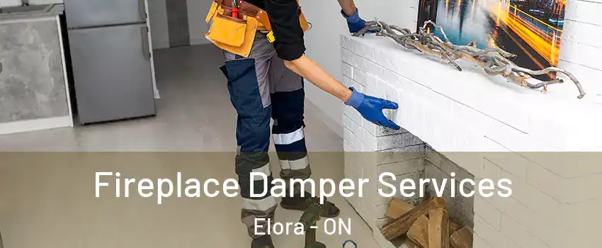  Fireplace Damper Services Elora - ON