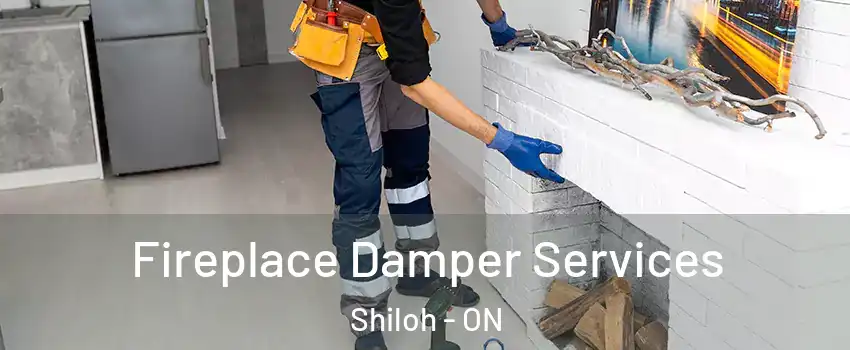 Fireplace Damper Services Shiloh - ON