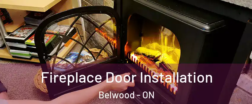 Fireplace Door Installation Belwood - ON