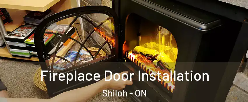  Fireplace Door Installation Shiloh - ON