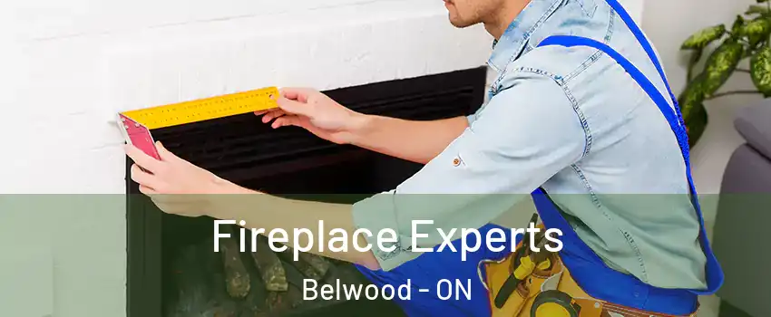  Fireplace Experts Belwood - ON