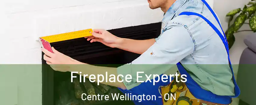  Fireplace Experts Centre Wellington - ON