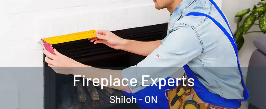 Fireplace Experts Shiloh - ON