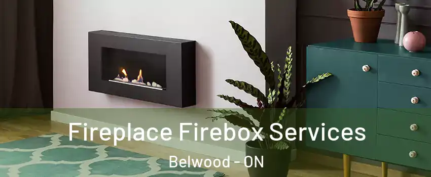  Fireplace Firebox Services Belwood - ON