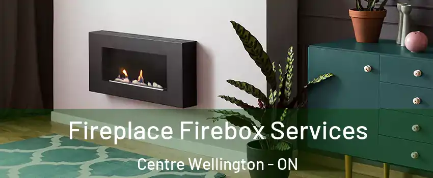  Fireplace Firebox Services Centre Wellington - ON