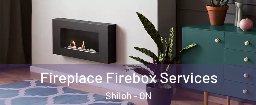 Fireplace Firebox Services Shiloh - ON