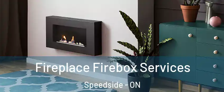  Fireplace Firebox Services Speedside - ON