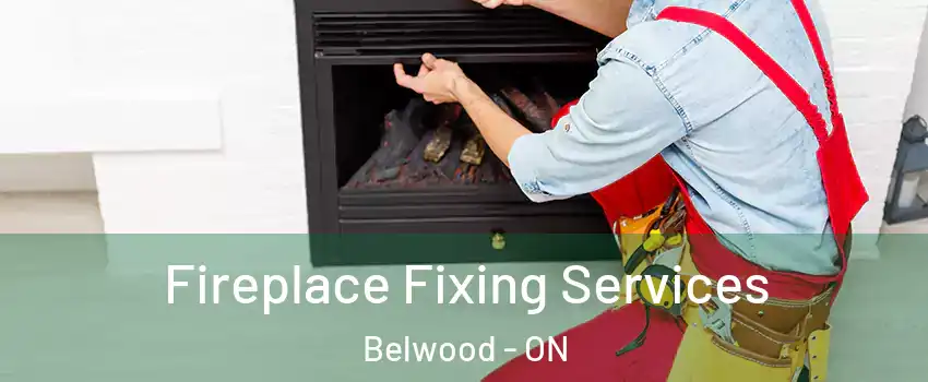  Fireplace Fixing Services Belwood - ON