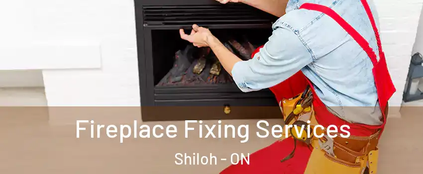  Fireplace Fixing Services Shiloh - ON