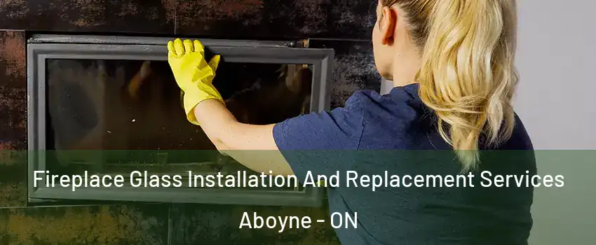  Fireplace Glass Installation And Replacement Services Aboyne - ON