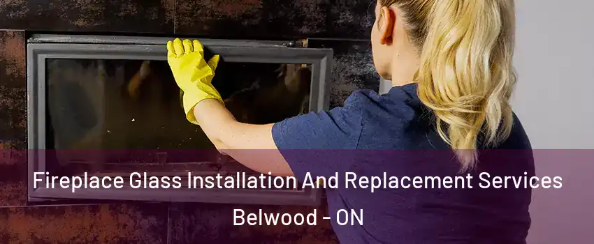  Fireplace Glass Installation And Replacement Services Belwood - ON