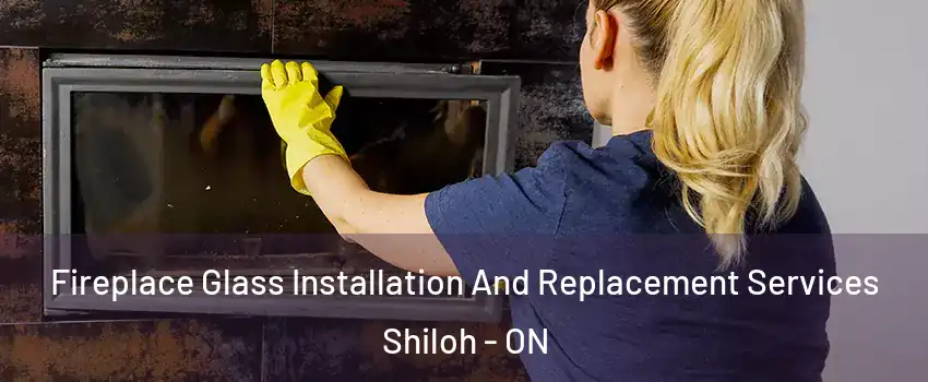  Fireplace Glass Installation And Replacement Services Shiloh - ON