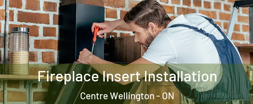  Fireplace Insert Installation Centre Wellington - ON