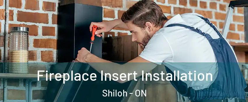  Fireplace Insert Installation Shiloh - ON