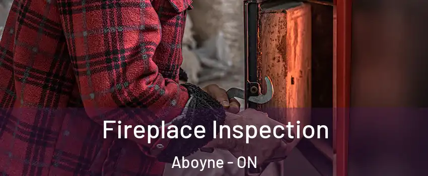  Fireplace Inspection Aboyne - ON