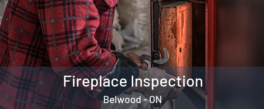  Fireplace Inspection Belwood - ON