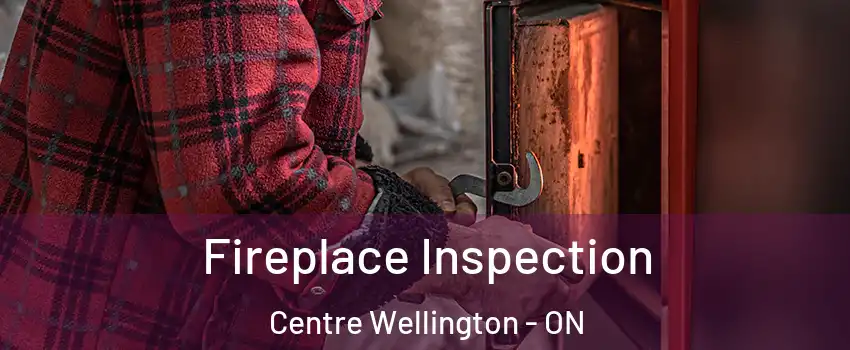  Fireplace Inspection Centre Wellington - ON