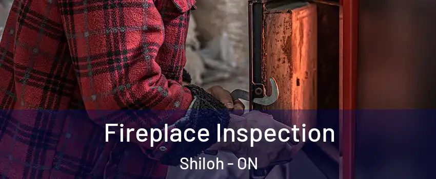  Fireplace Inspection Shiloh - ON