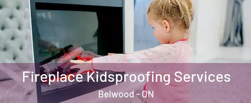  Fireplace Kidsproofing Services Belwood - ON