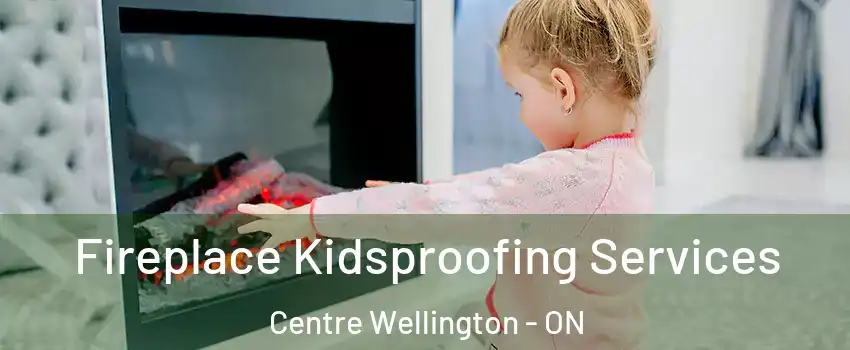  Fireplace Kidsproofing Services Centre Wellington - ON