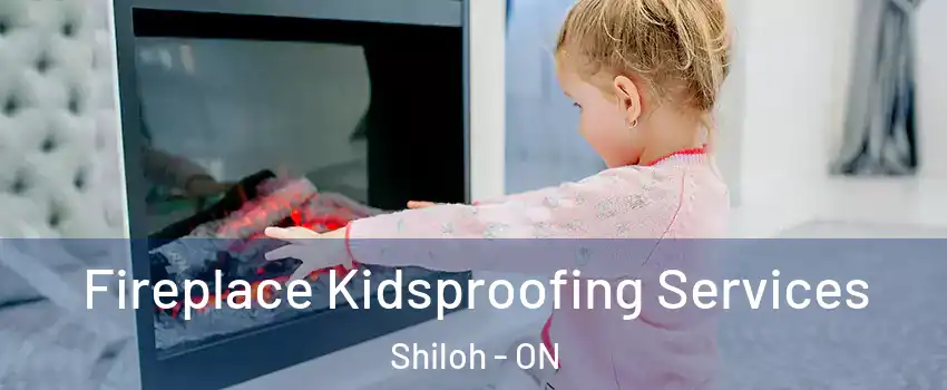  Fireplace Kidsproofing Services Shiloh - ON