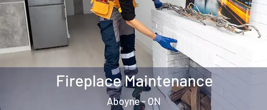  Fireplace Maintenance Aboyne - ON