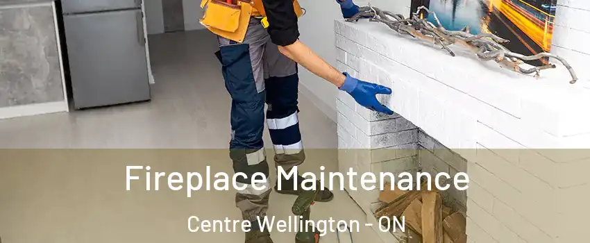  Fireplace Maintenance Centre Wellington - ON
