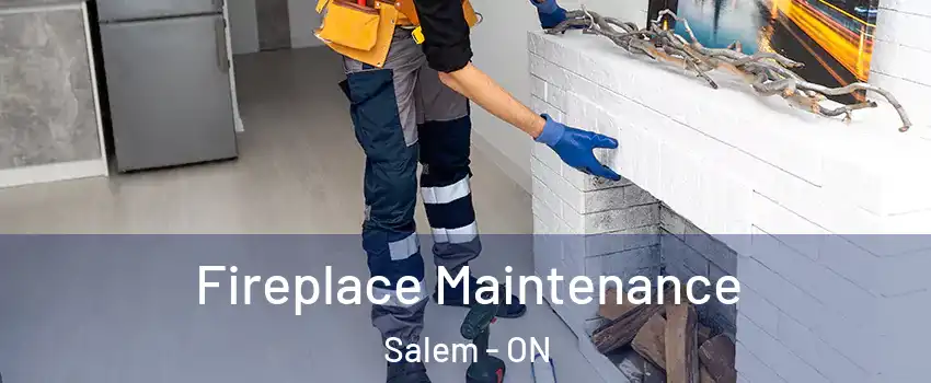 Fireplace Maintenance Salem - ON