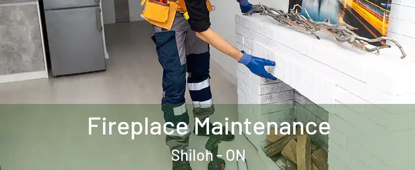  Fireplace Maintenance Shiloh - ON