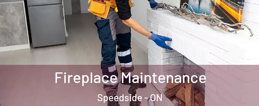  Fireplace Maintenance Speedside - ON
