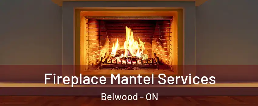  Fireplace Mantel Services Belwood - ON