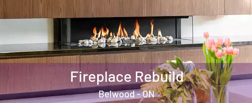  Fireplace Rebuild Belwood - ON