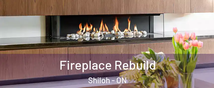  Fireplace Rebuild Shiloh - ON