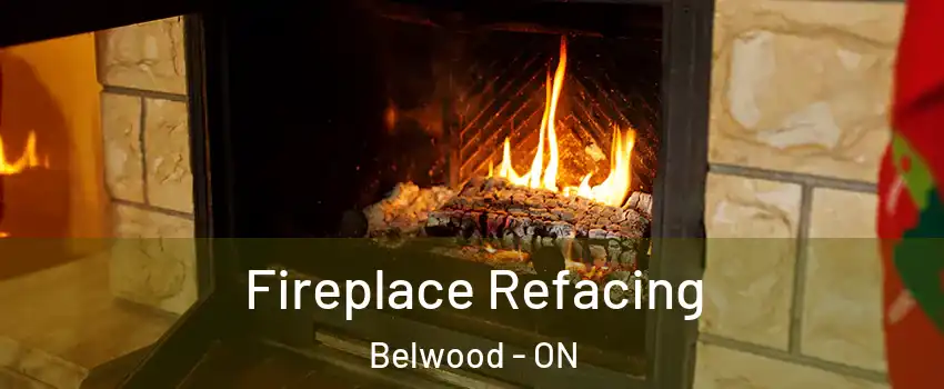  Fireplace Refacing Belwood - ON