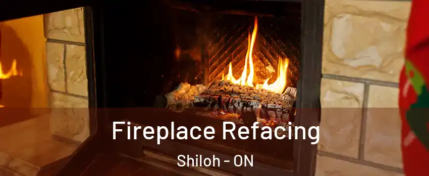  Fireplace Refacing Shiloh - ON