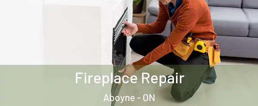  Fireplace Repair Aboyne - ON