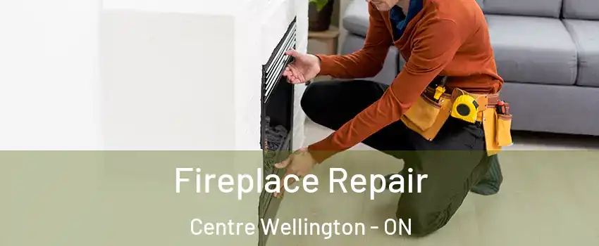  Fireplace Repair Centre Wellington - ON