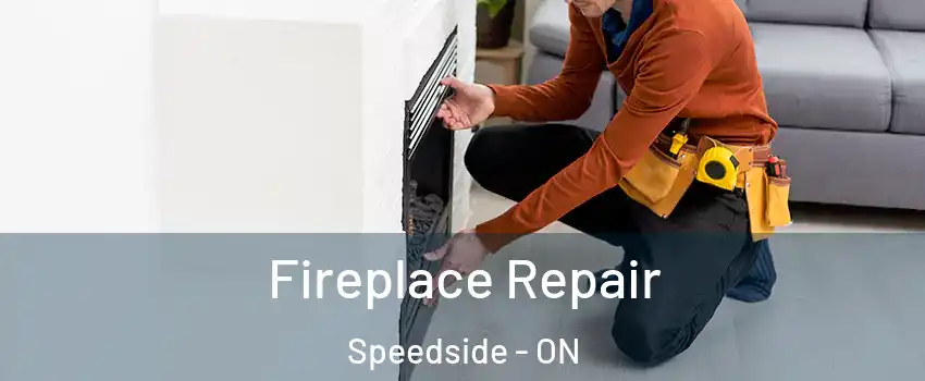  Fireplace Repair Speedside - ON