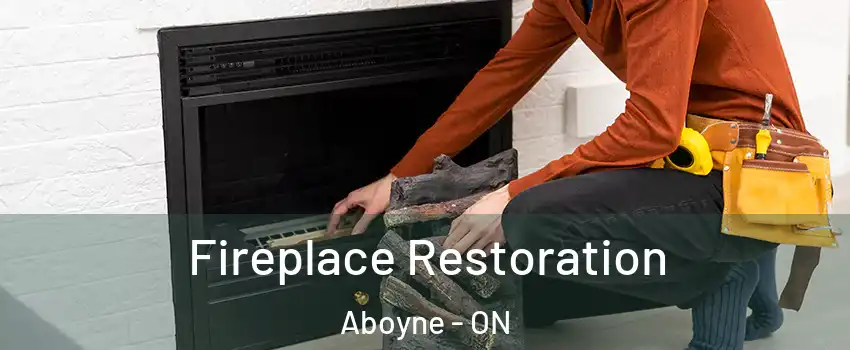  Fireplace Restoration Aboyne - ON
