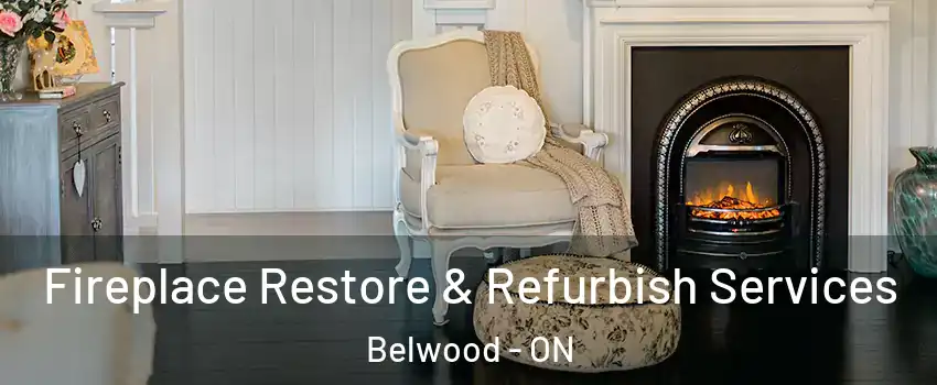 Fireplace Restore & Refurbish Services Belwood - ON
