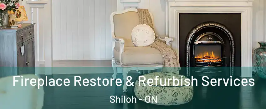  Fireplace Restore & Refurbish Services Shiloh - ON